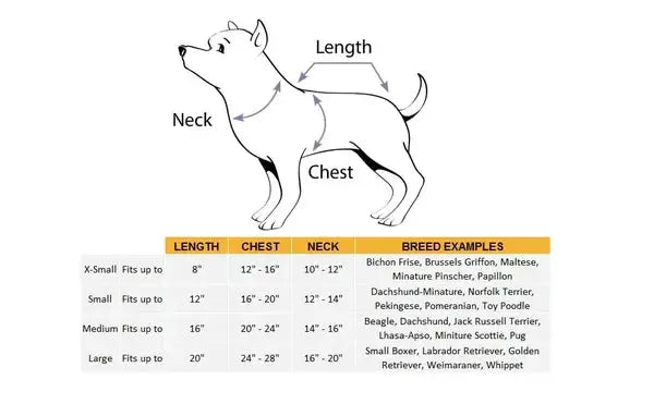 Cute and Spooky Pet Costume for Halloween Fun