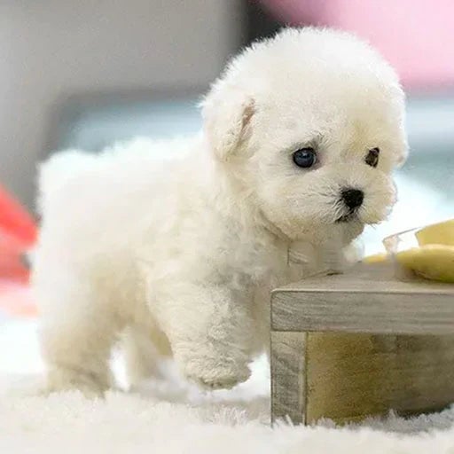 Ultra-Realistic Robotic Puppy Toy with Lifelike Movements