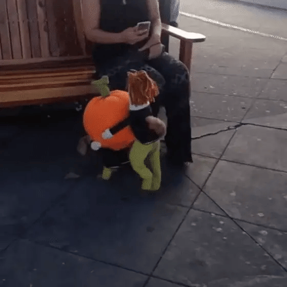 Cute and Spooky Pet Costume for Halloween Fun