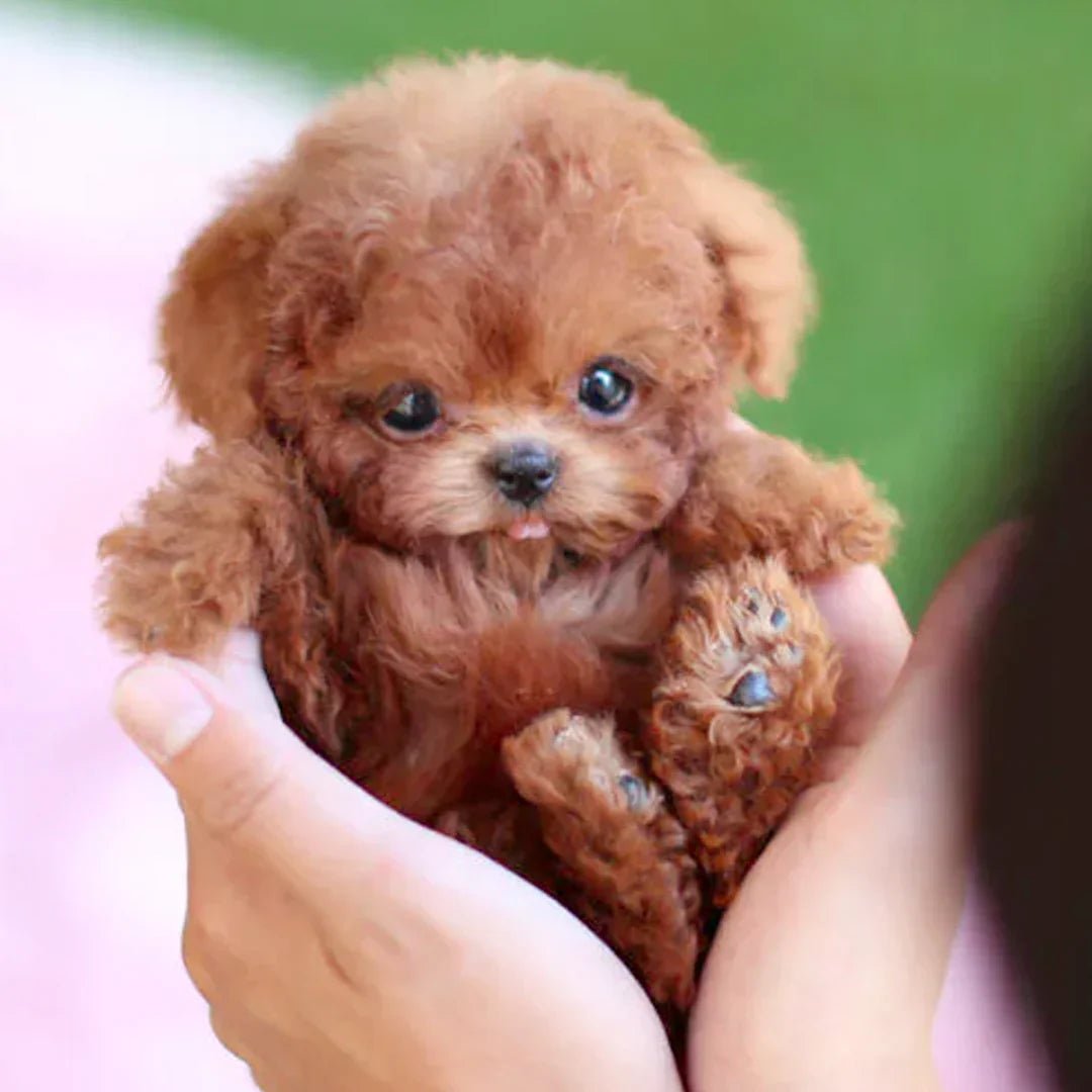 Ultra-Realistic Robotic Puppy Toy with Lifelike Movements