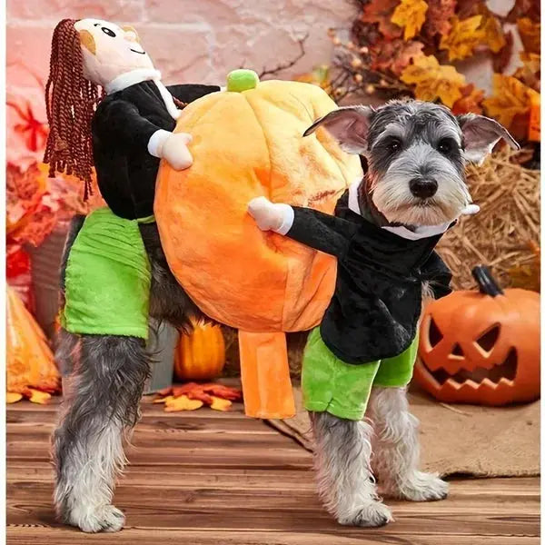 Cute and Spooky Pet Costume for Halloween Fun