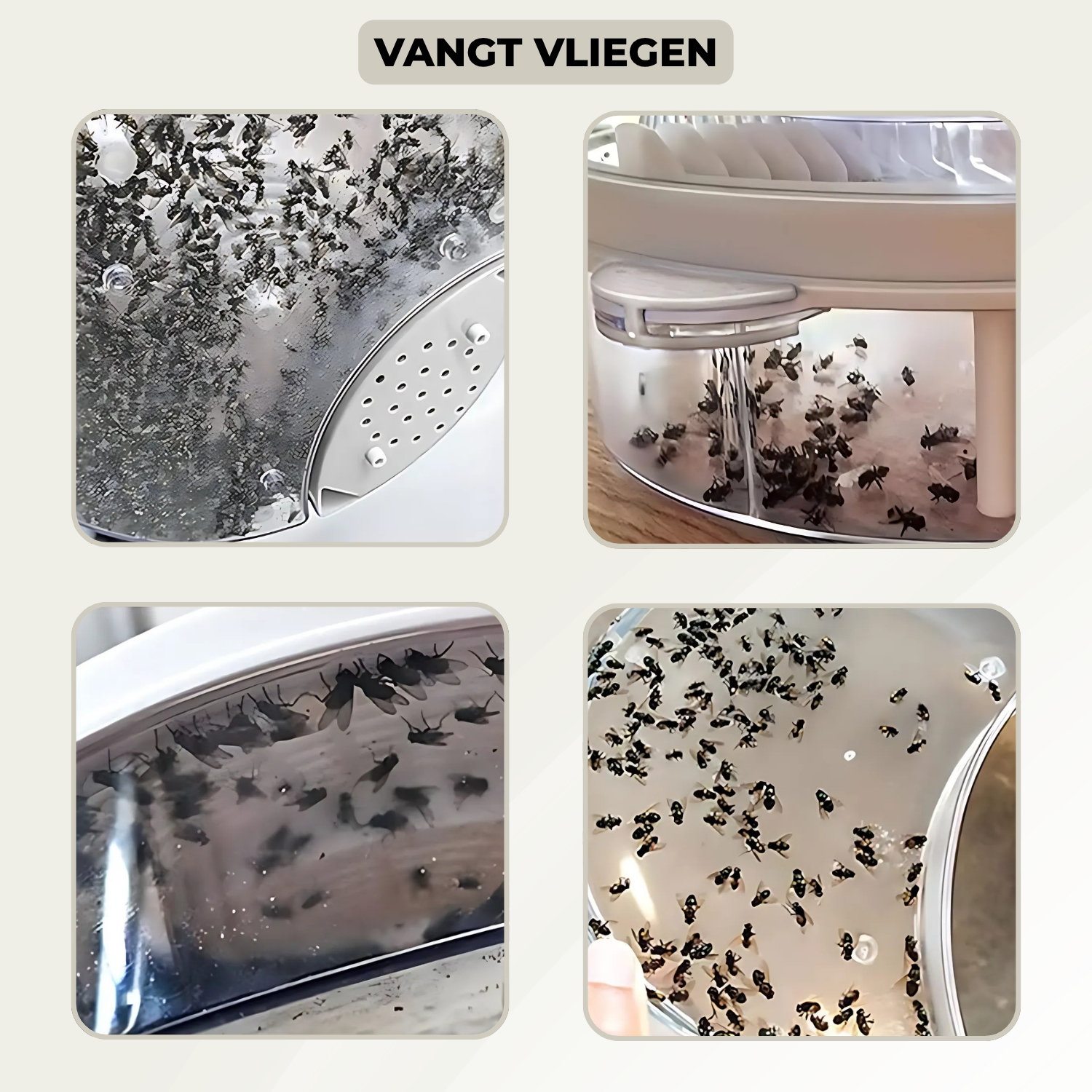 Natural Chemical-Free Fly Repellent Device